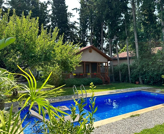 Muğla Datça'da Yeşillikler İçerisinde, Özel Havuzlu, Bahçeli Villa - 1