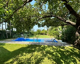 Muğla Datça'da Yeşillikler İçerisinde, Özel Havuzlu, Bahçeli Villa - 3