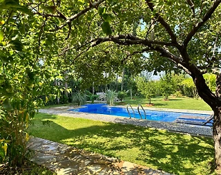 Muğla Datça'da Yeşillikler İçerisinde, Özel Havuzlu, Bahçeli Villa - 4