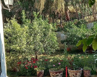Datça'da Muhteşem Doğa İçerisinde, 8 Kişilik, Konforlu Bahçeli Ev - 5