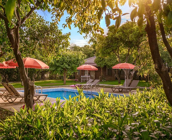 Antalya Alanya'da Denize Yakın Konumda, Ortak Havuzlu, Kiralık Bungalov - 1