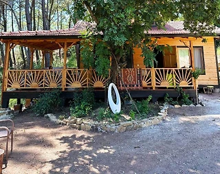 Antalya Kumluca'da Yeşillikler İçerisinde, Geniş Bahçeli, Ahşap Ev - 2