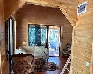 Antalya Kumluca'da Yeşillikler İçerisinde, Geniş Bahçeli, Ahşap Ev - 5