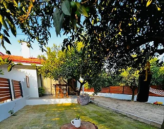 Muğla Ortaca'da Şehirden Uzakta, Sessizlik İçerisinde, 2+1 Ev - 2