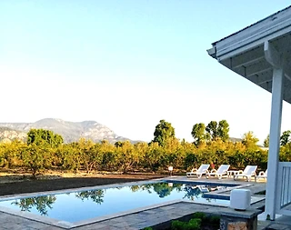 Ortaca Dalyan'da Huzurlu Doğada, Özel Havuzlu, Lüks Kiralık Villa - 5