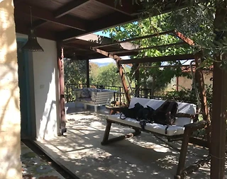 Ayvacık Yeşilyurt’ta Harika Doğa İçerisinde, Müstakil Taş Ev - 2