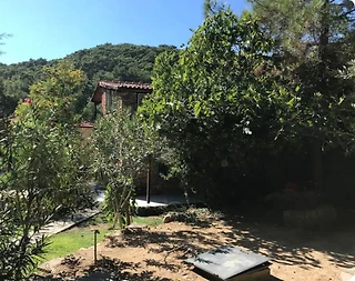 Ayvacık Yeşilyurt’ta Harika Doğa İçerisinde, Müstakil Taş Ev - 3