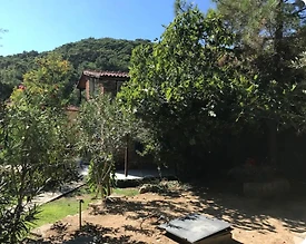 Ayvacık Yeşilyurt’ta Harika Doğa İçerisinde, Müstakil Taş Ev - 3