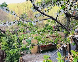 Sapanca Memnuniye'de Müstakil Bahçeli, 2 Kişilik, Kiralık Tiny House - 3