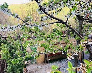 Sapanca Memnuniye'de Müstakil Bahçeli, 2 Kişilik, Kiralık Tiny House - 3