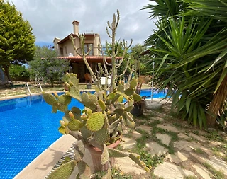 Datça'da Müstakil Bahçeli, Özel Havuzlu, Kiralık Villa - 4