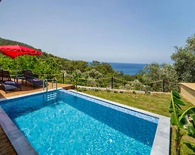 Fethiye Faralya'da Yemyeşil Bahçeli, Özel Havuzlu, 1+1 Villa - 3