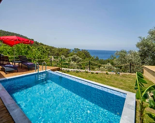 Fethiye Faralya'da Yemyeşil Bahçeli, Özel Havuzlu, 1+1 Villa - 3