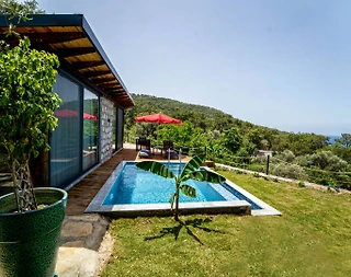 Fethiye Faralya'da Yemyeşil Doğada, Özel Havuzlu, Balayı Villası - 3