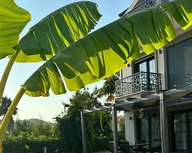 Fethiye Ölüdeniz'de Merkezi Konumda, Özel Havuzlu, Konforlu Villa - 3