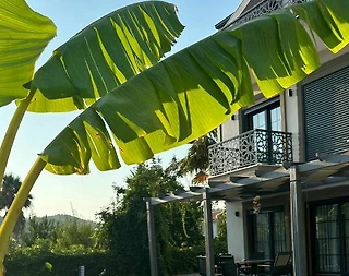 Fethiye Ölüdeniz'de Merkezi Konumda, Özel Havuzlu, 3+1 Villa - 5