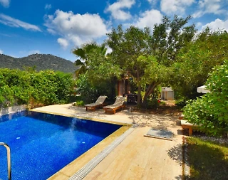 Fethiye Kayaköy'de Geniş Bahçeli, Özel Havuzlu, Kiralık Villa - 3