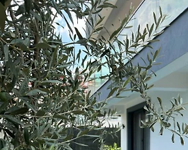 Fethiye Menteşoğlu'nda Eşsiz Doğada, Özel Havuzlu, Bahçeli Villa - 3