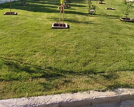 Fethiye Çiftlik'te Kalabalık Ailelere Uygun, Özel Havuzlu, Lüks Villa - 2