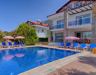 Fethiye Ölüdeniz'de Harika Doğa İçerisinde, Özel Havuzlu, Geniş Villa - 4