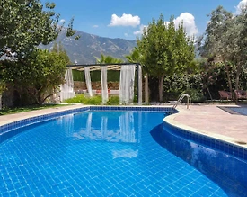 Fethiye Ölüdeniz'de Doğa İçerisinde, Özel Havuzlu, Bahçeli Villa - 3