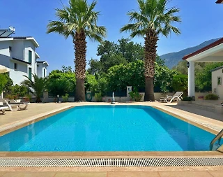 Fethiye Ölüdeniz'de Elverişli Konumda, Özel Havuzlu, 3+1 Villa - 4