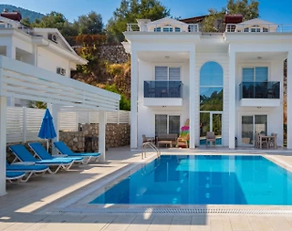 Fethiye Ölüdeniz'de Elverişli Konumda, Özel Havuzlu, Modern Villa - 1