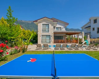 Fethiye Ölüdeniz'de Geniş Bahçeli, Özel Havuzlu, Modern Villa - 5
