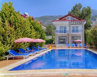 Fethiye Ölüdeniz'de Özel Havuzlu, 5+1, Müstakil, Kiralık Villa - 2