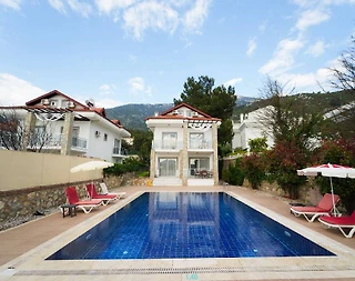 Fethiye Ölüdeniz'de Özel Havuzlu, 5+1, Müstakil, Kiralık Villa - 2