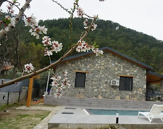 Fethiye Yeşilüzümlü'de Doğa İle İç İçe, Özel Havuzlu, 4 Kişilik Villa - 5