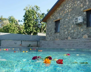 Fethiye Yeşilüzümlü'de Doğa İle İç İçe, Özel Havuzlu, 4 Kişilik Villa - 3