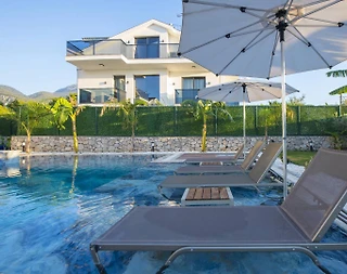 Fethiye'de Eşsiz Doğa İçerisinde, Özel Havuzlu ve Bahçeli, Lüks Villa - 3