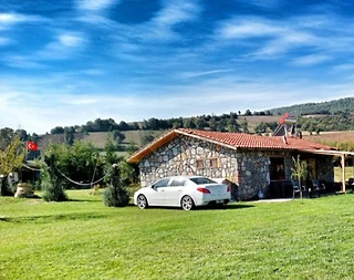 Yenişehir Aydoğdu'da Geniş Bahçeli, Özel Havuzlu, Taş Villa - 3