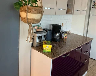 İstanbul Arnavutköy'de Havalimanına Yakın Konumda, Bahçeli, 2+1 Ev - 3