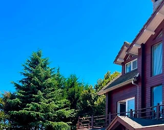 Gebze Cumaköy'de Geniş Bahçeli, Özel Havuzlu, Lüks Kiralık Villa - 5