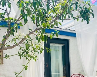 İzmir Çeşme'de Merkeze ve Denize Yakın Mesafede, Taş Mimarili Ev - 2