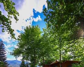 Kartepe Maşukiye'de Merkezi Konumda, Ortak Havuzlu, Kiralık Bungalov - 3