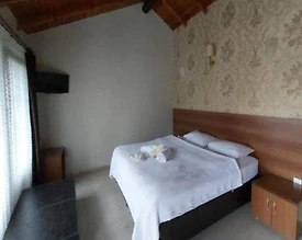 Kartepe Maşukiye'de Muhteşem Doğada, Konforlu, Kiralık Taş Ev - 3