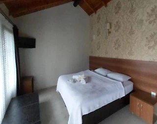 Kartepe Maşukiye'de Muhteşem Doğada, Konforlu, Kiralık Taş Ev - 3