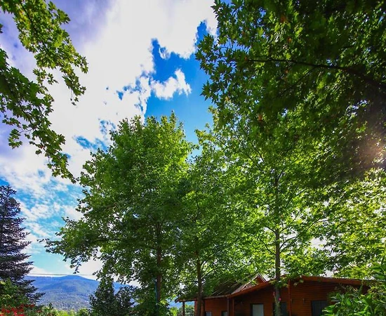 Kartepe Maşukiye'de Tesis İçerisinde, Ortak Havuzlu, Modern Bungalov  - 1