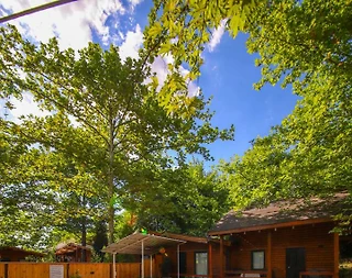 Kartepe Maşukiye'de Tesis İçerisinde, Özel Havuzlu, Şık Bungalov - 1