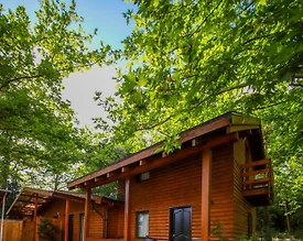 Kartepe Maşukiye'de Tesis İçerisinde, Özel Havuzlu, Kiralık Bungalov - 2