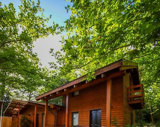 Kartepe Maşukiye'de Tesis İçerisinde, Özel Havuzlu, Şık Bungalov - 2