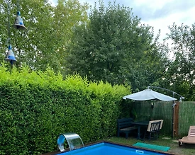 Kartepe Maşukiye'de Yemyeşil Doğada, Özel Havuzlu, Jakuzili Villa - 3