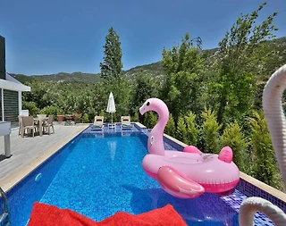 Kaş İslamlar'da Eşsiz Doğa Manzaralı, Özel Havuzlu, Jakuzili Villa - 3