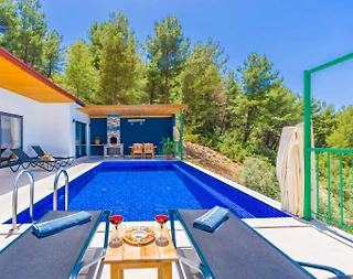Kaş İslamlar'da Orman Manzaralı, Özel Havuzlu, Konforlu Balayı Villası - 1
