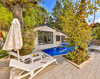 Kaş Sarıbelen'de Muhteşem Doğa İçerisinde, Özel Havuzlu, Taş Villa - 4