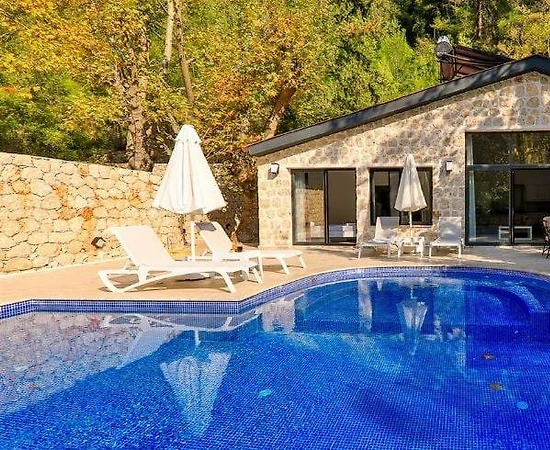 Kaş Sarıbelen'de Otantik Mimarili, Özel Havuzlu, Masa Tenisli Villa - 1