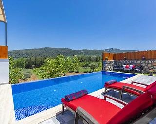 Kaş Sarıbelen'de Sakin Konumda, Özel Havuzlu, Balayı Villası - 5